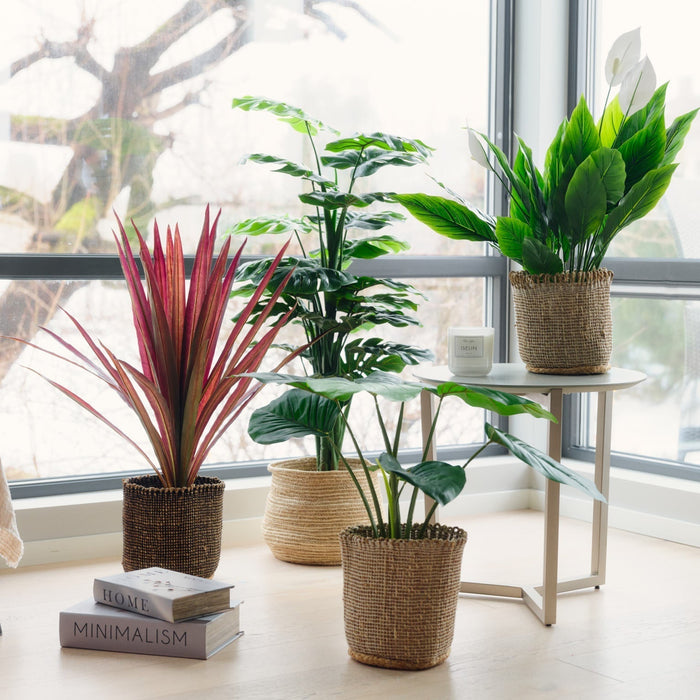 Konstväxter vs. äkta växter – varför välja en bekymmersfri grön inredning?