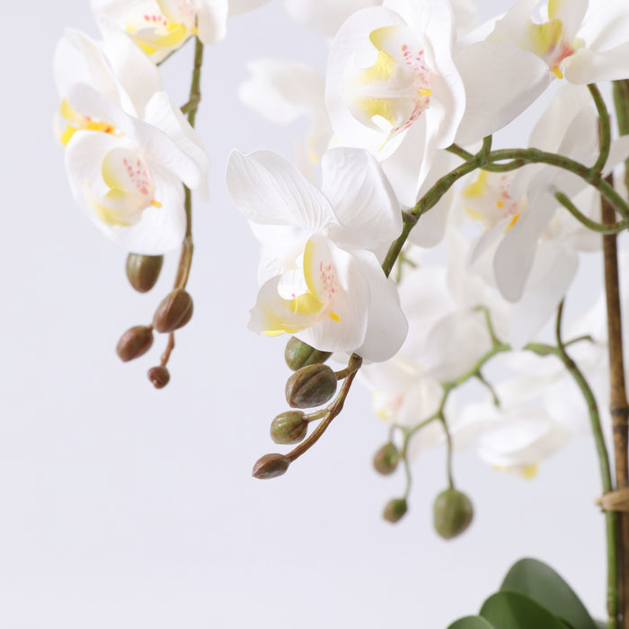 Vit orkidé 52 cm med vit kruka