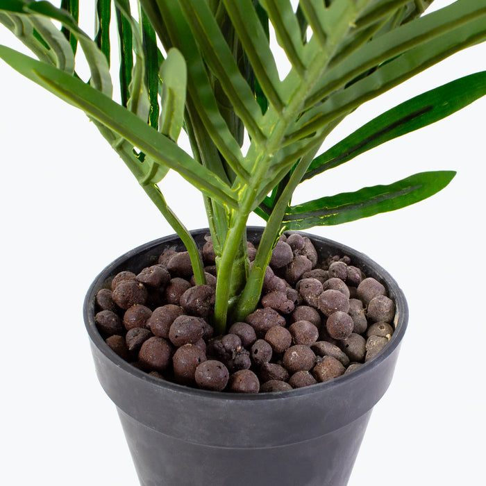 Flora palm H: 60 cm