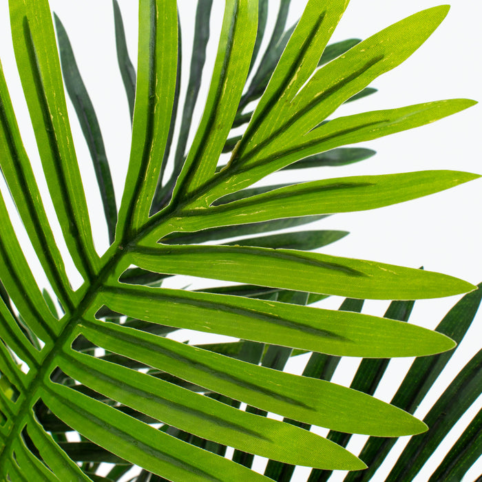 Flora palm H: 60 cm