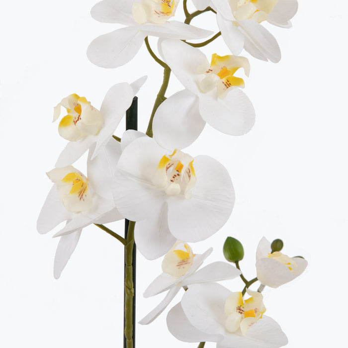 Flora Orkidé 51 cm